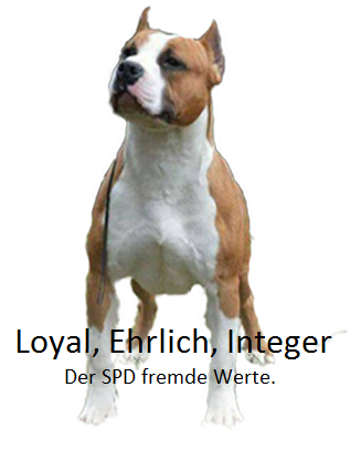 Rasselisten in Deutschland 2016