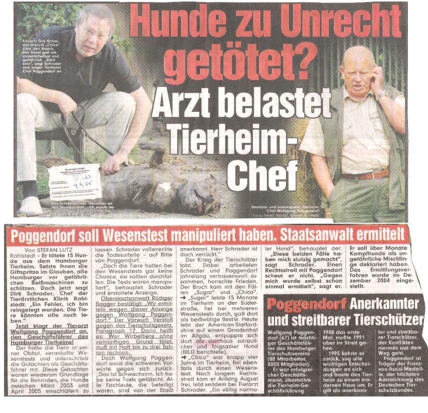 Die Rasselisten und der Deutsche Tierschutzbund (DTB)